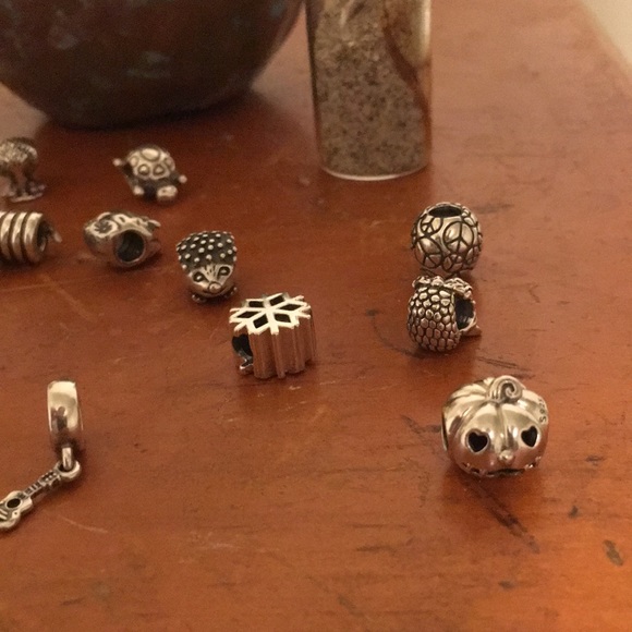 Silver Pandora Charm Bracelets - Picture 7 of 11